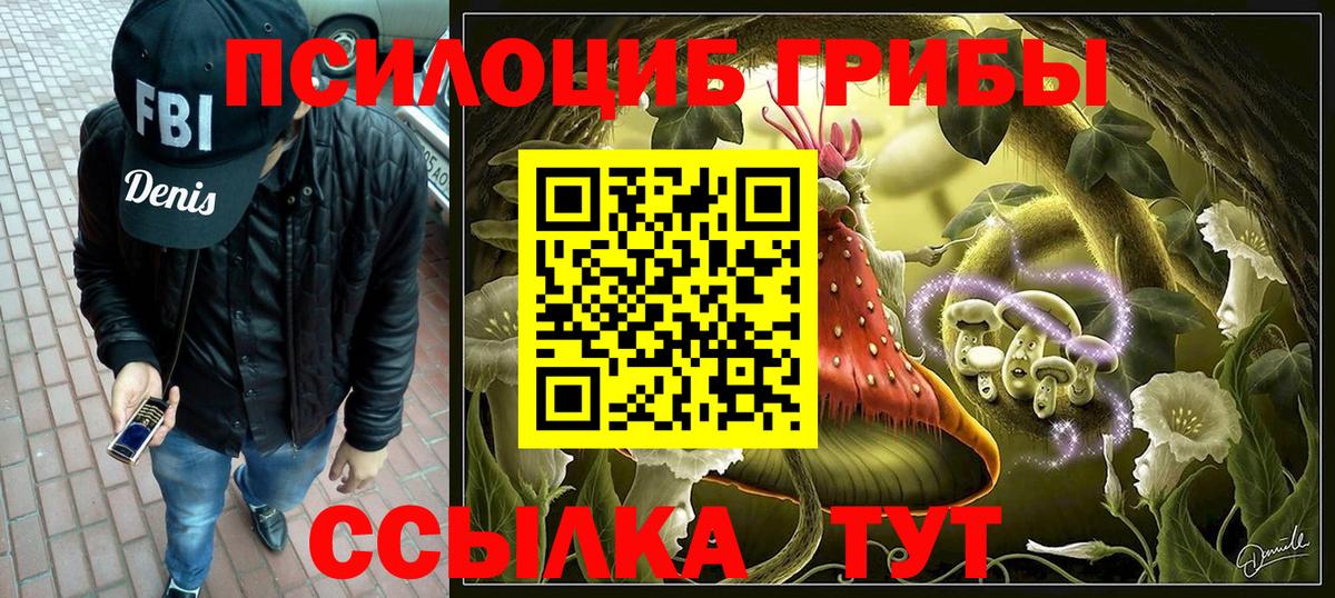 Псилоцибиновые грибы Cubensis Выкса